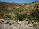 Apache Trail Photo