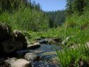 East Clear Creek Photo