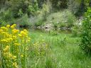 East Clear Creek Photo