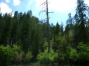 East Clear Creek Photo