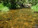 East Clear Creek Photo
