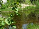 East Clear Creek Photo