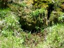 East Clear Creek Photo