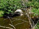 East Clear Creek Photo