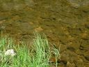 East Clear Creek Photo