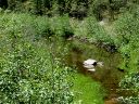 East Clear Creek Photo