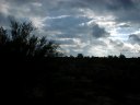 Four Peaks Wilderness Area Photo