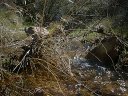 Four Peaks Wilderness Area Photo