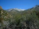 Four Peaks Wilderness Area Photo