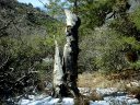 Four Peaks Wilderness Area Photo