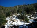 Four Peaks Wilderness Area Photo