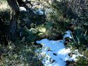 Four Peaks Wilderness Area Photo