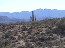 Four Peaks Wilderness Area Photo