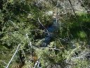 Four Peaks Wilderness Area Photo