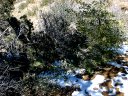 Four Peaks Wilderness Area Photo