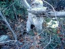 Four Peaks Wilderness Area Photo