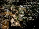 Four Peaks Wilderness Area Photo