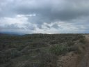 Four Peaks Wilderness Area Photo