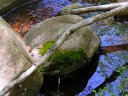 Horton Springs Photo