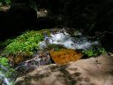 Horton Springs Photo
