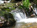 Horton Springs Photo