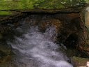 Horton Springs Photo