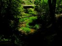 Horton Springs Photo