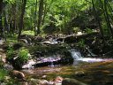 Horton Springs Photo