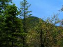 Horton Springs Photo