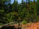 Horton Springs Photo