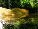 Horton Springs Photo