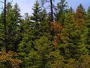 Horton Springs Photo