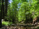 Horton Springs Photo