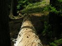 Horton Springs Photo
