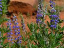Horton Springs Photo