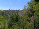 Horton Springs Photo