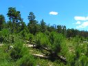 Knoll Lake Photo
