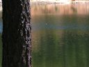 Knoll Lake Photo