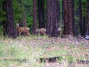 Knoll Lake Photo
