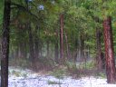 Knoll Lake Photo