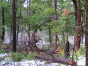 Knoll Lake Photo