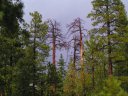 Knoll Lake Photo