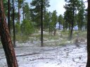 Knoll Lake Photo