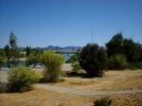 Lake Havasu Photo