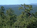 Mogollon Rim Photo