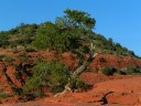 Sedona Photo