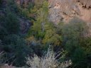 Tonto Natural Bridge Photo