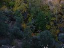 Tonto Natural Bridge Photo
