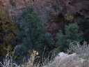 Tonto Natural Bridge Photo