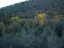 Tonto Natural Bridge Photo